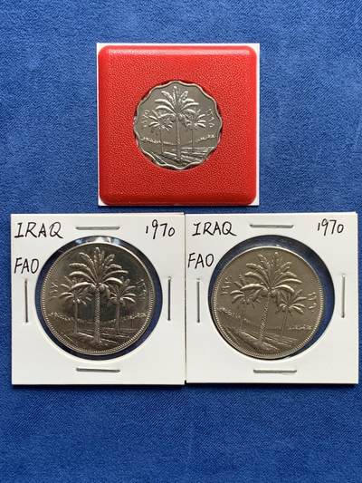 《竞宝斋》第474场 周日，周一 2场连拍 （全场包邮）欢迎送拍 - 3枚一组 F.A.O纪念 1970伊拉克250F纪念币2枚+1975伊拉克10F花边纪念币，均为好品。伊拉克枣椰树，热门上涨品种，高分价格已起飞