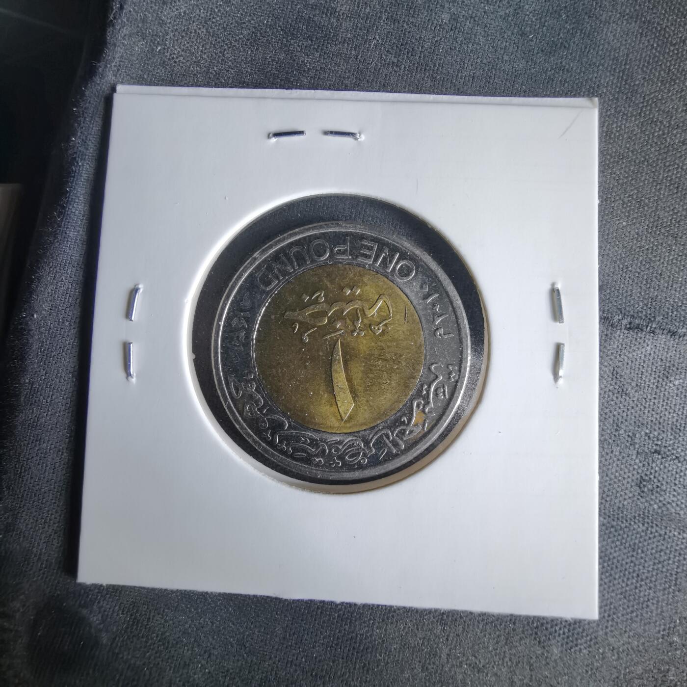 沼泽如烟--第1033场 埃及