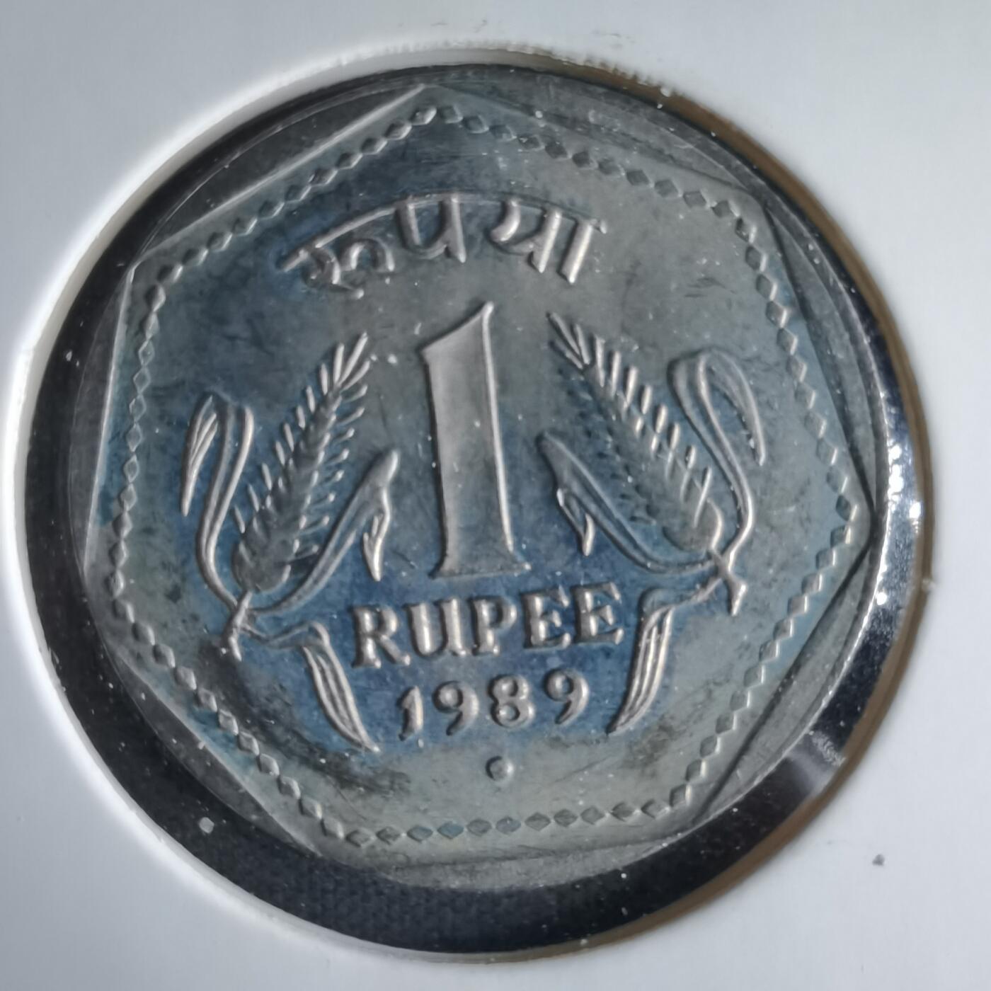 沼泽如烟--第1033场