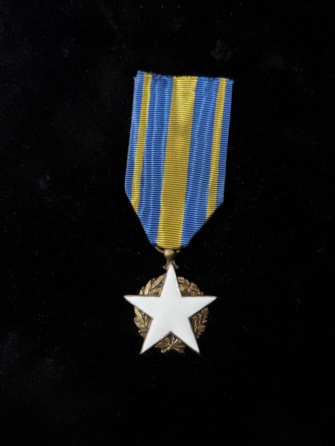 戎马世界章牌大赏，第112期 法国民事战伤