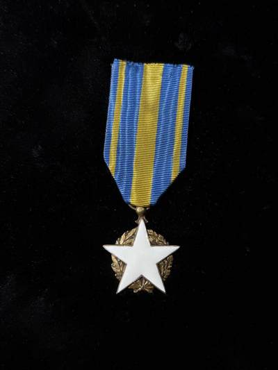 戎马世界章牌大赏，第113期 - 法国民事战伤