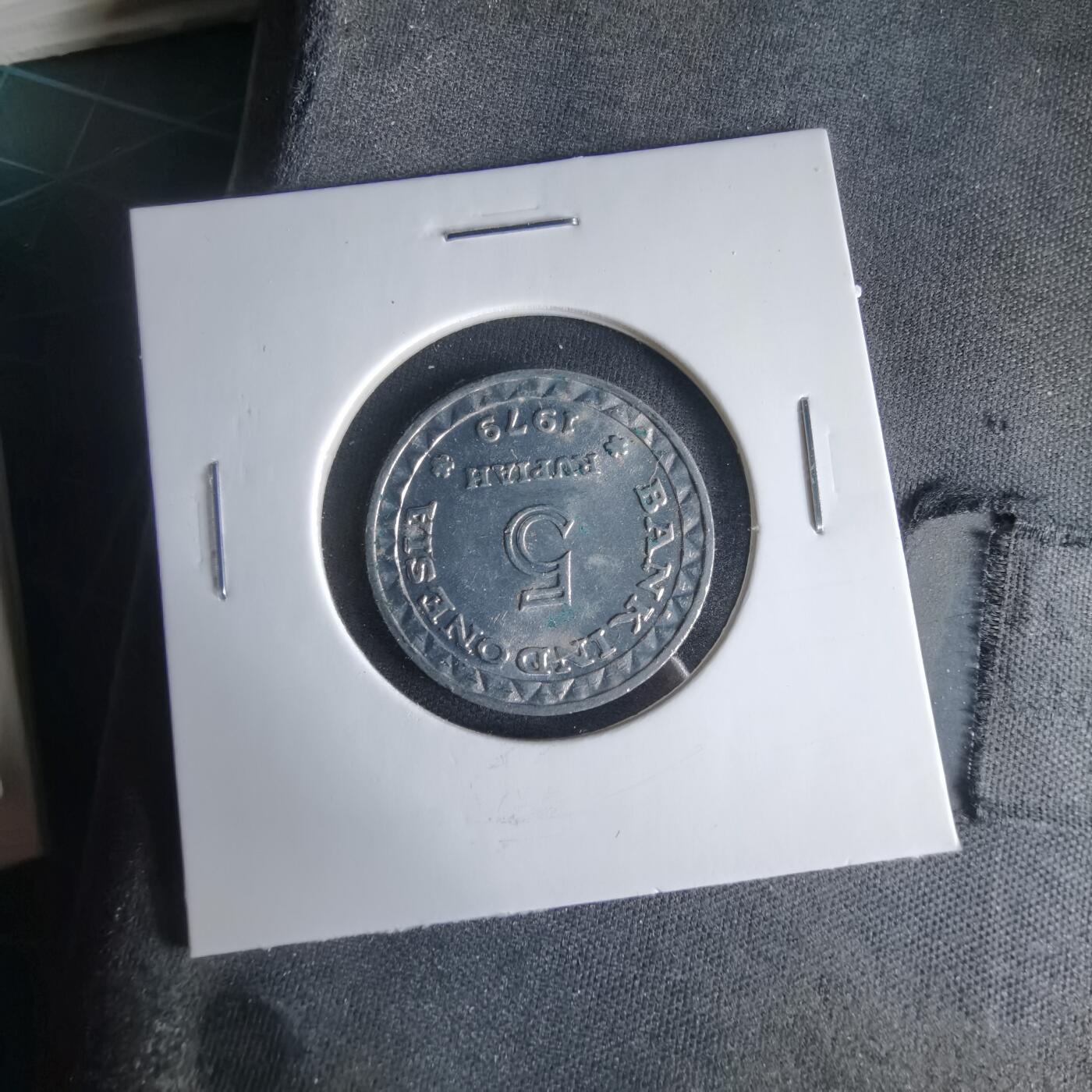 沼泽如烟--第1033场