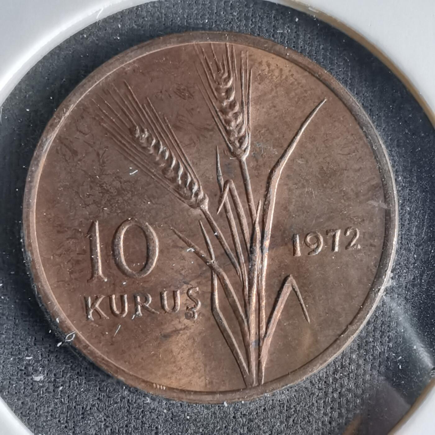 沼泽如烟--第1033场