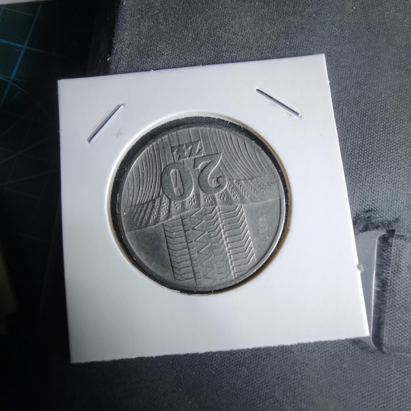 沼泽如烟--第1029场