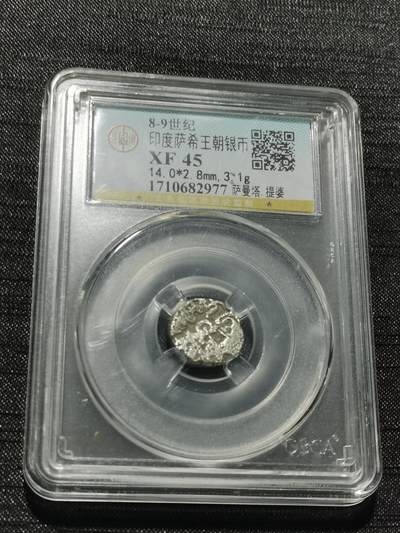 天下钱庄专场欢迎参拍 - 萨希王朝银币