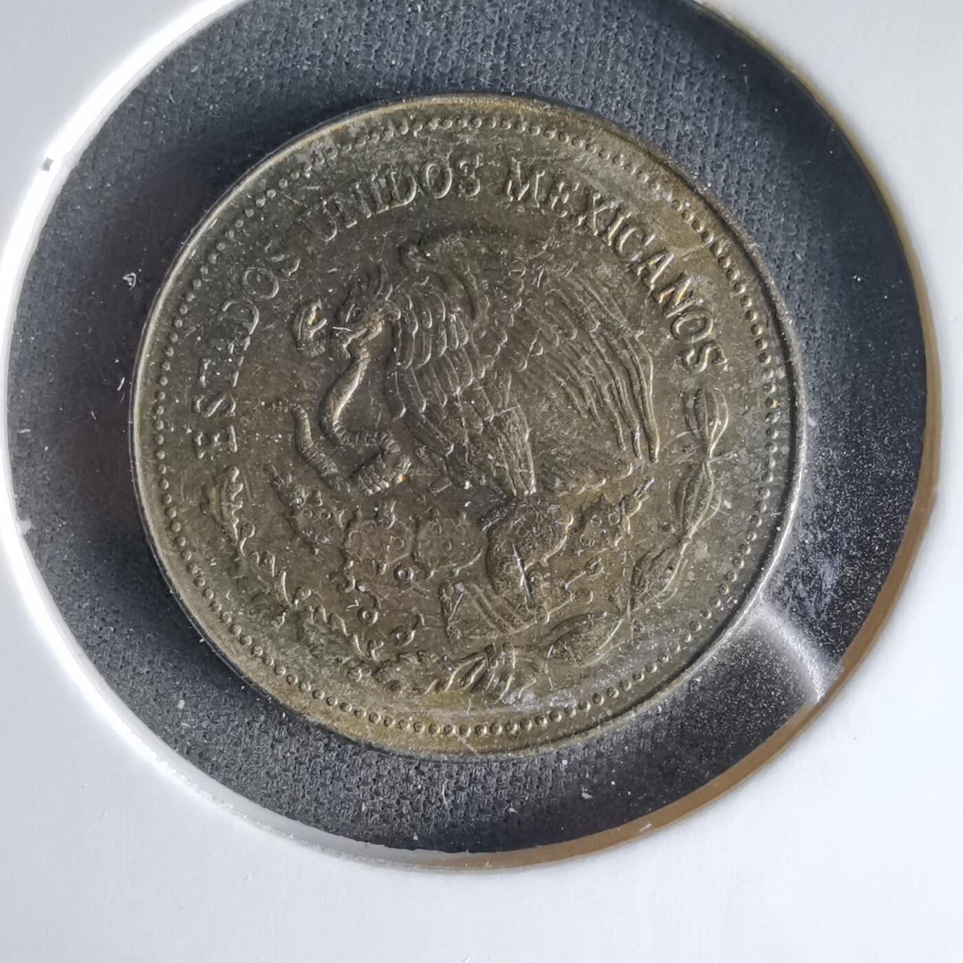 沼泽如烟--第1033场