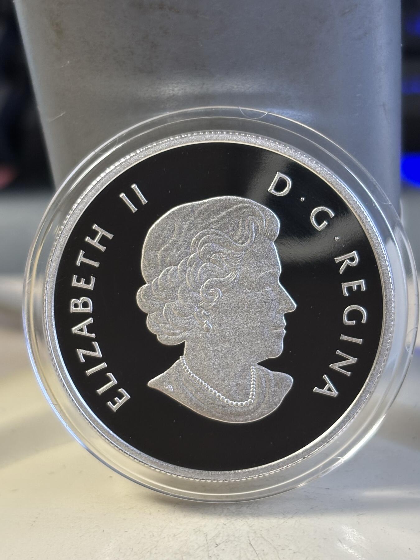 第195期拍卖 加拿大2016年野鸭系列Canvasback半盎司彩色银币，9999银，15.87克，发行10000枚