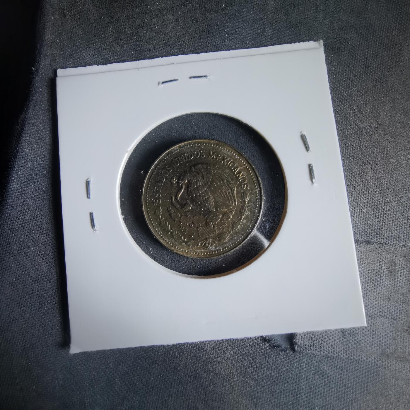 沼泽如烟--第1033场