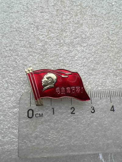 真品像章、纪念章 - 真品像章、纪念章