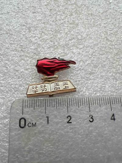 真品像章、纪念章 - 真品像章、纪念章