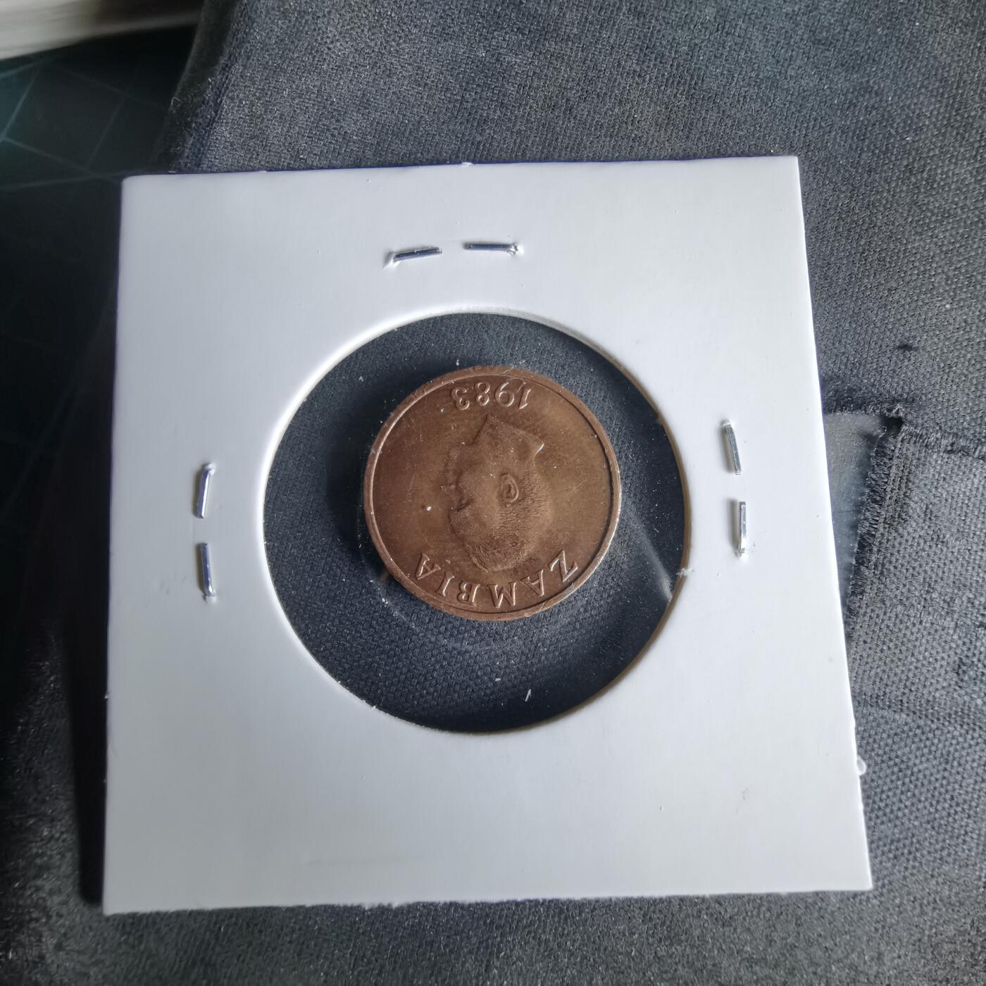 沼泽如烟--第1033场