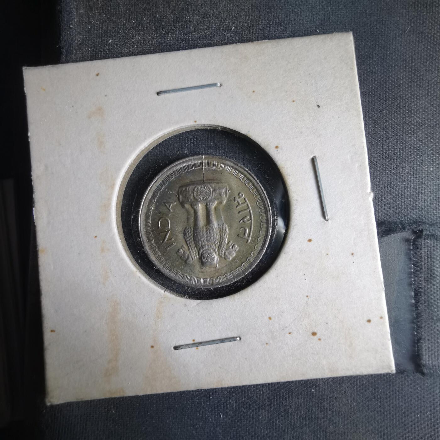 沼泽如烟--第1033场