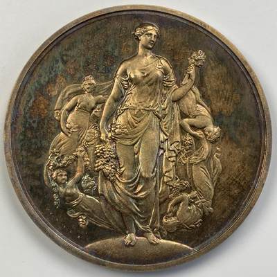 掌中浮雕-藏着的欧洲第056场 - 皇家园艺协会银章，55mm，71g