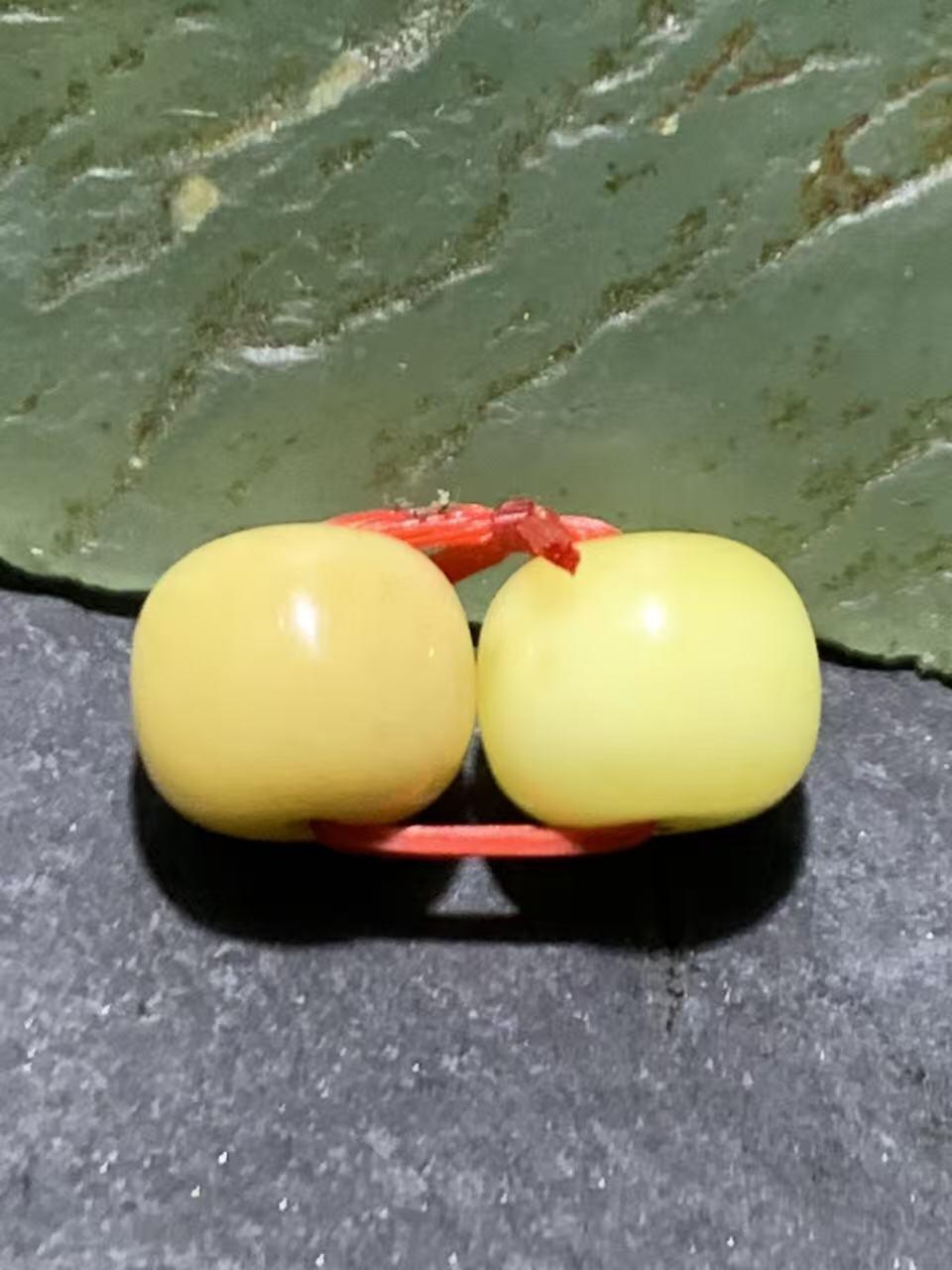 天然俄料原矿蜜蜡小尺寸老形桶珠腰珠两颗