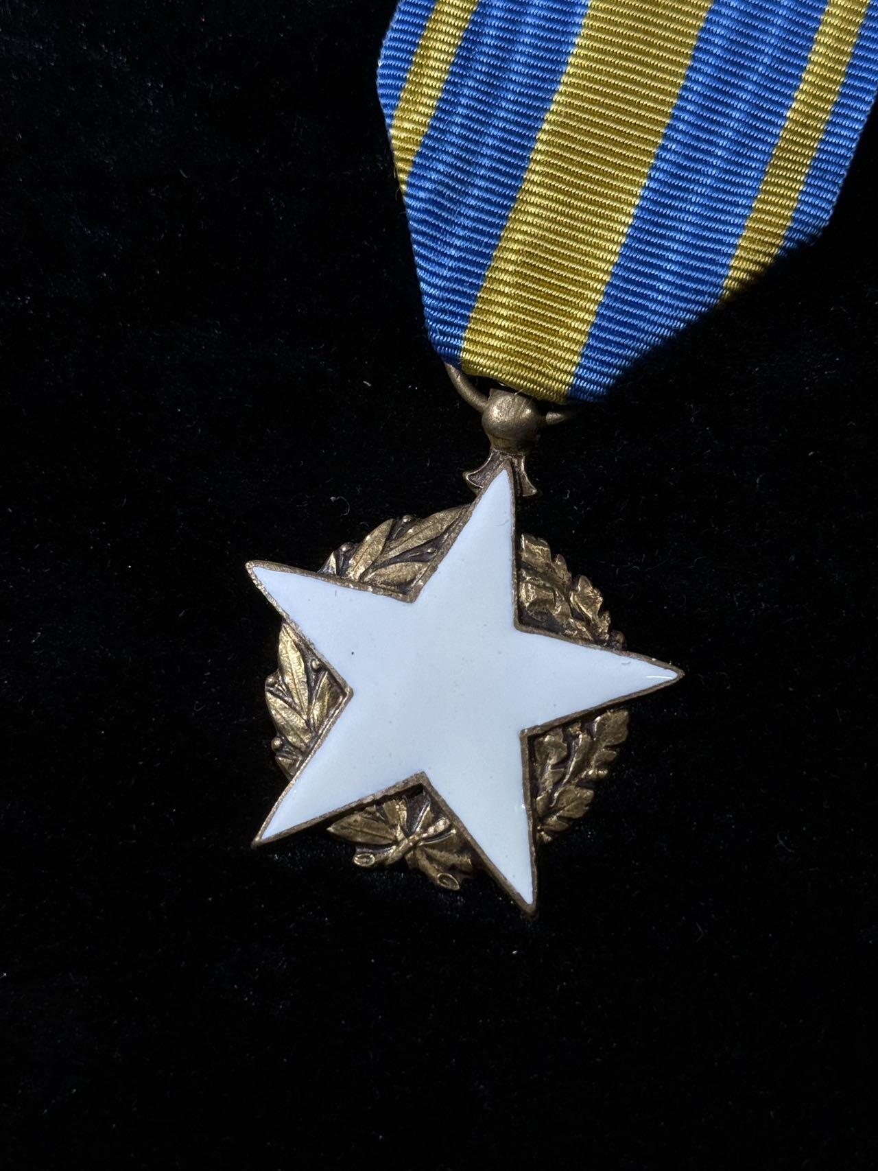 戎马世界章牌大赏，第112期 法国民事战伤