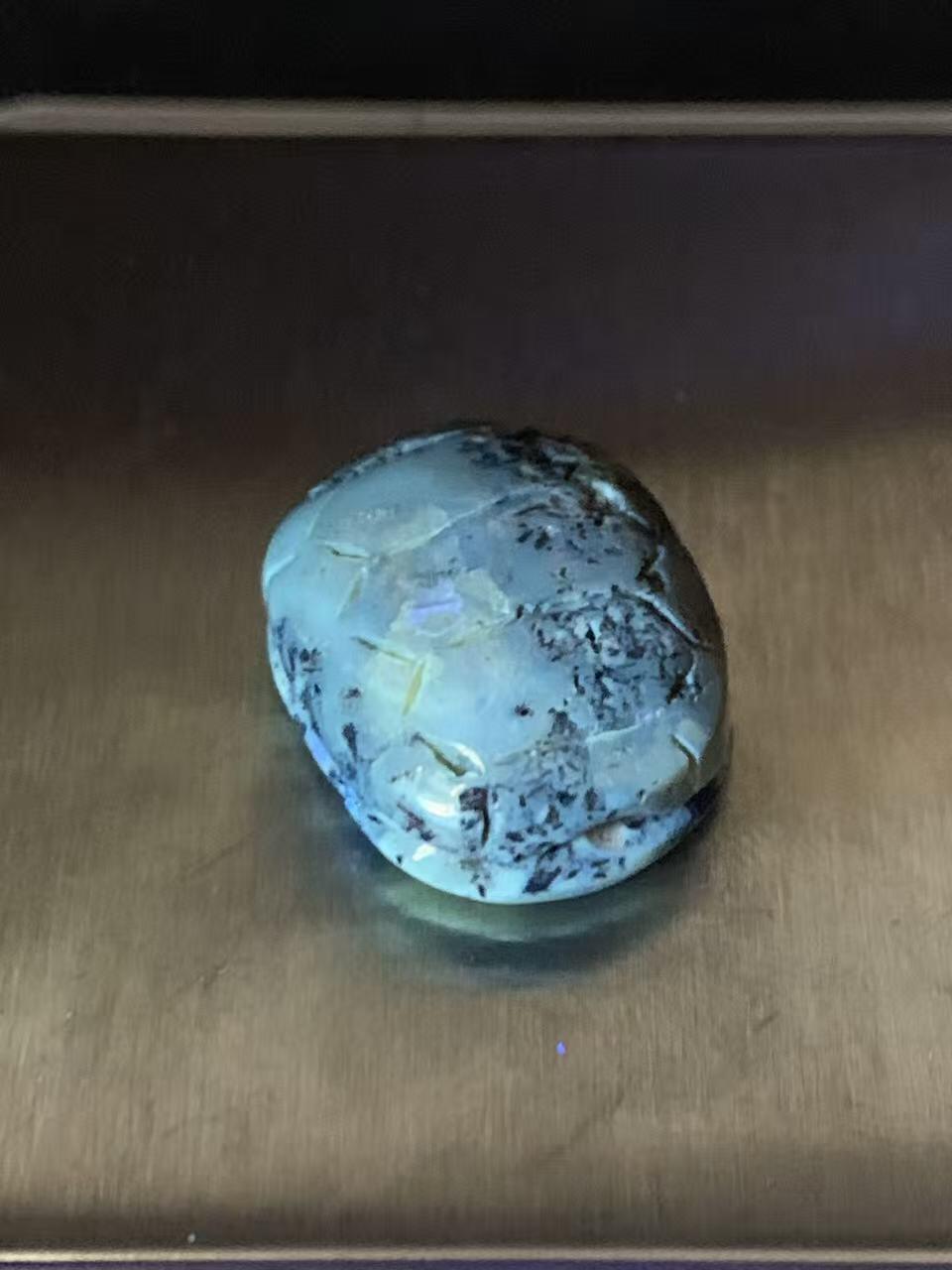 天然通货乌克兰蜜蜡雕刻龟壳寓意，富甲天下，一个，，