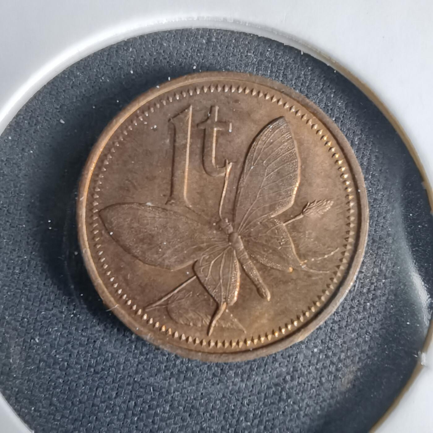 沼泽如烟--第1033场 巴布亚新几内亚1975年托伊