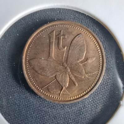 沼泽如烟--第1033场 - 巴布亚新几内亚1975年托伊