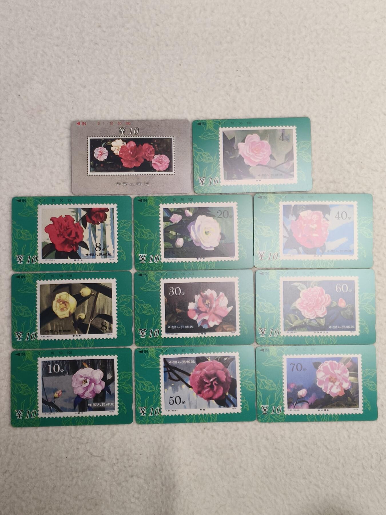 易卡拍卖第85期 甘肃：山茶花。（精品地方卡系列）易卡五星⭐️标。如图所示！