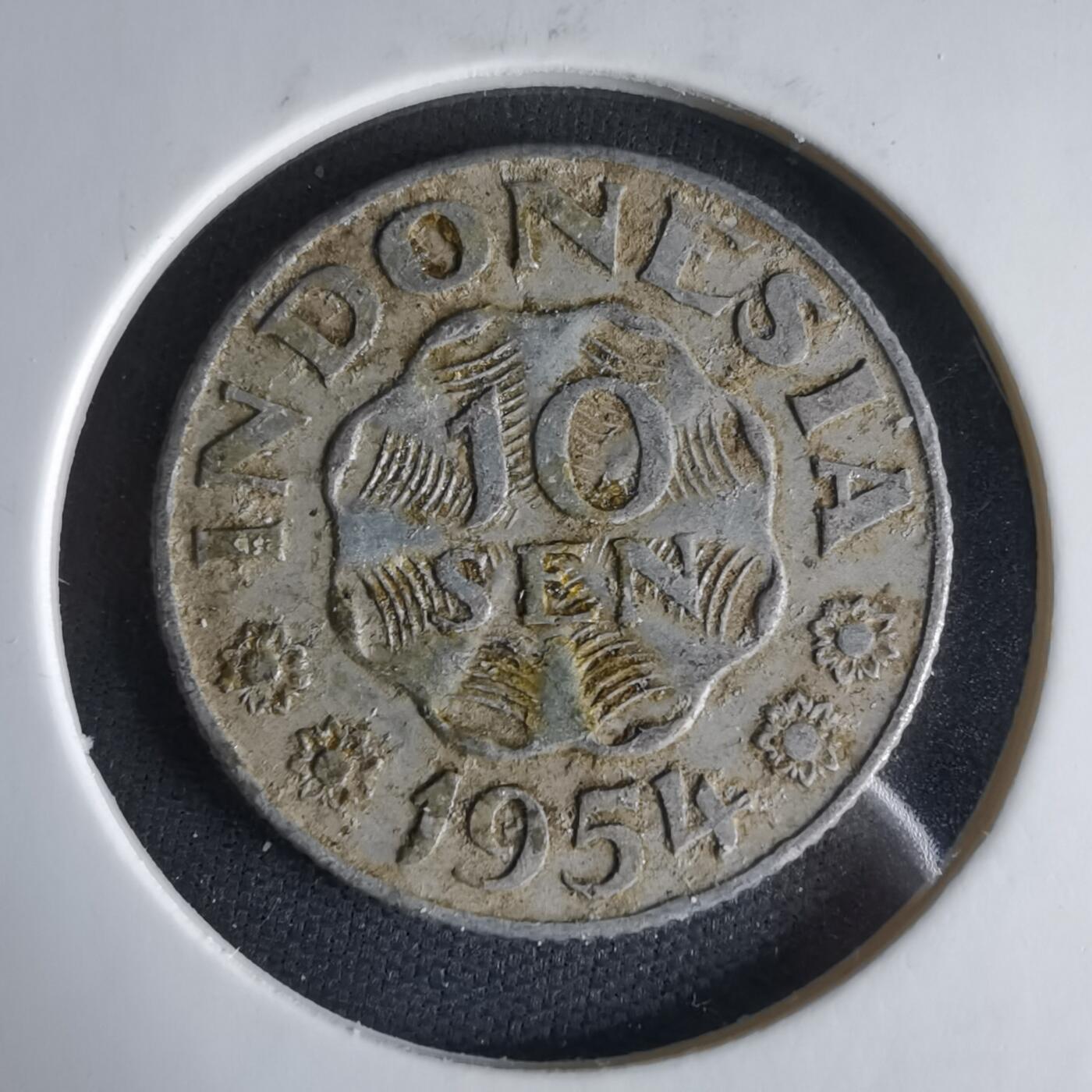 沼泽如烟--第1033场