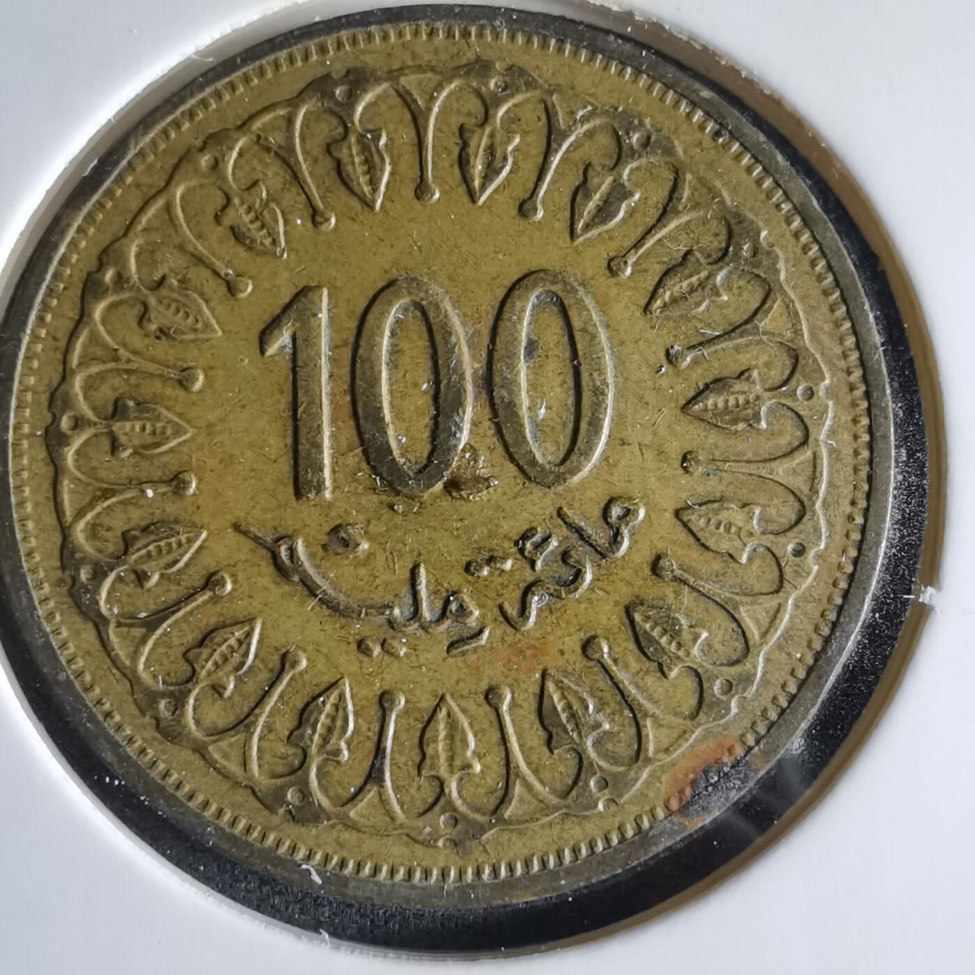 沼泽如烟--第1033场