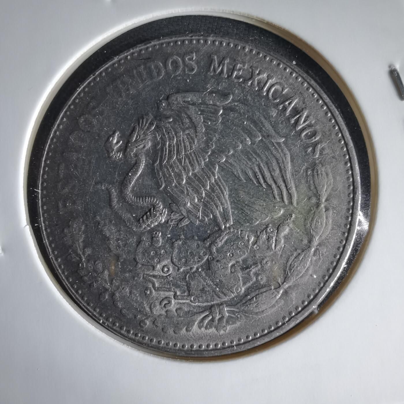 沼泽如烟--第1033场