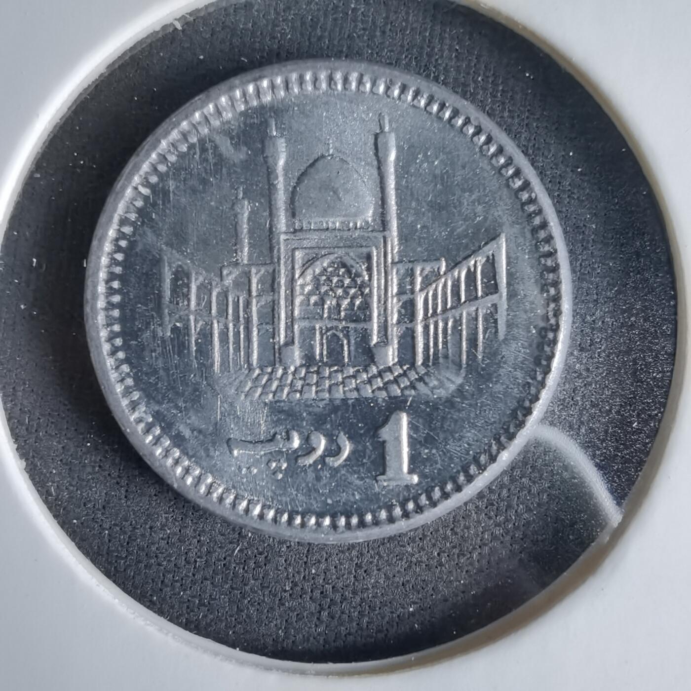 沼泽如烟--第1033场