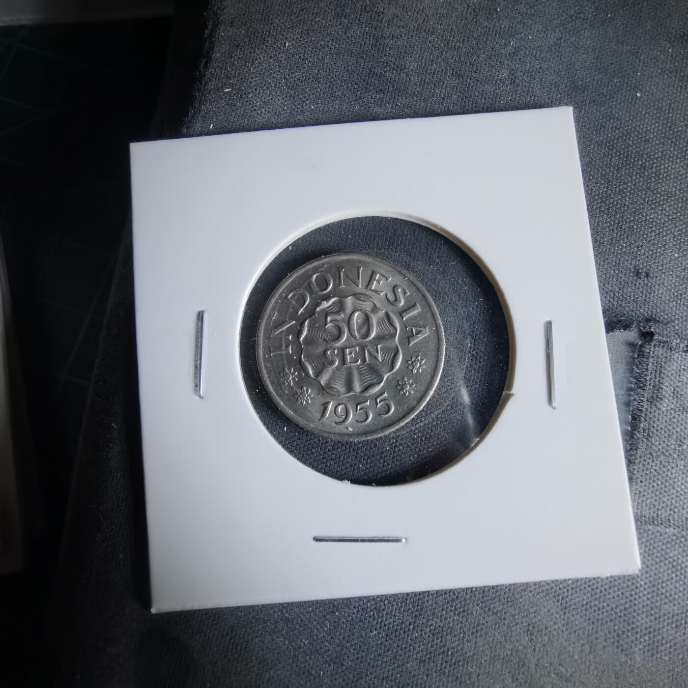 沼泽如烟--第1033场