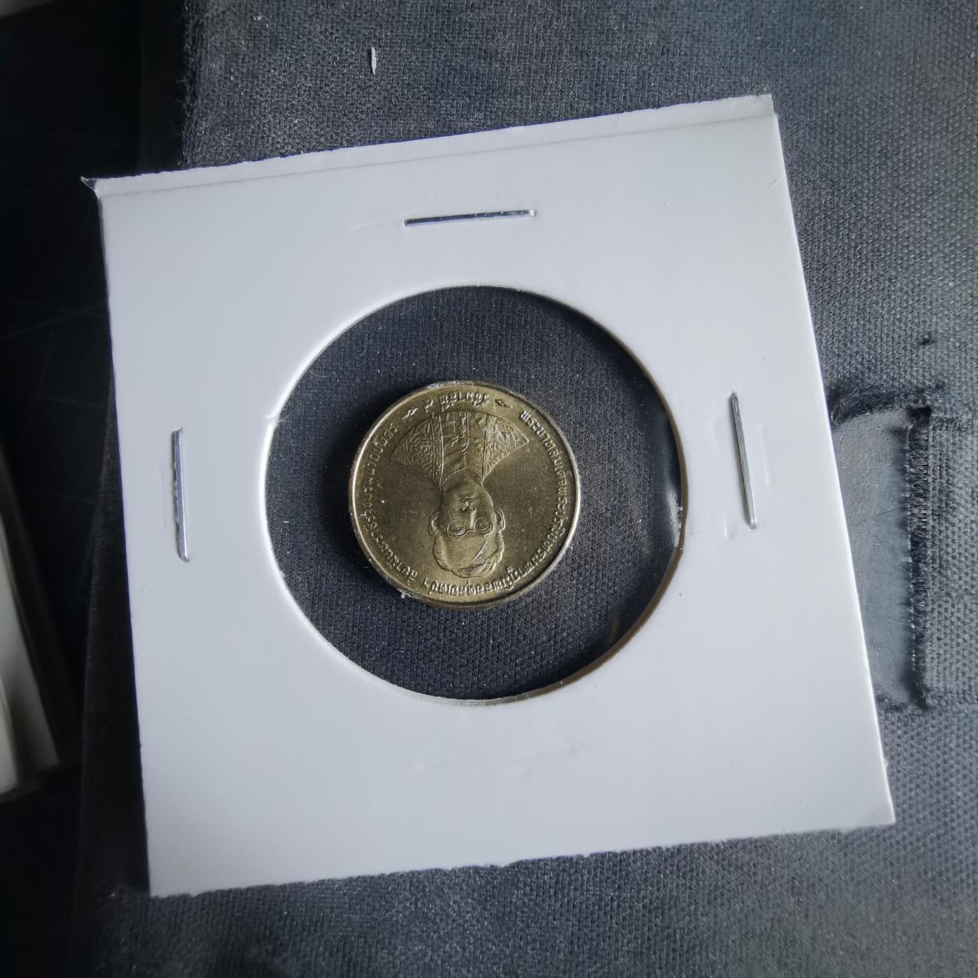 沼泽如烟--第1033场 泰国