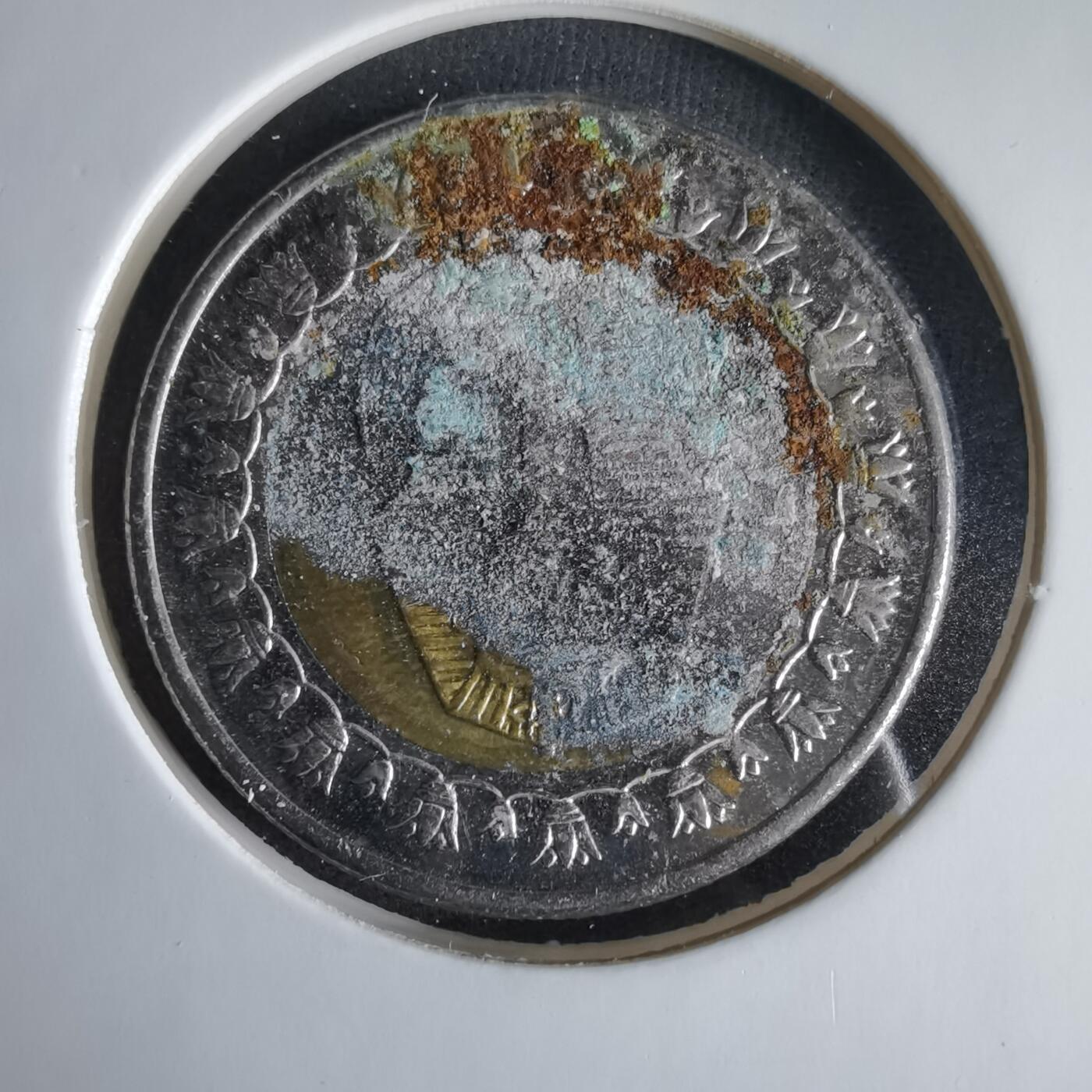 沼泽如烟--第1033场 埃及