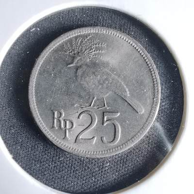 沼泽如烟--第1033场 - 印度尼西亚1971年25卢比