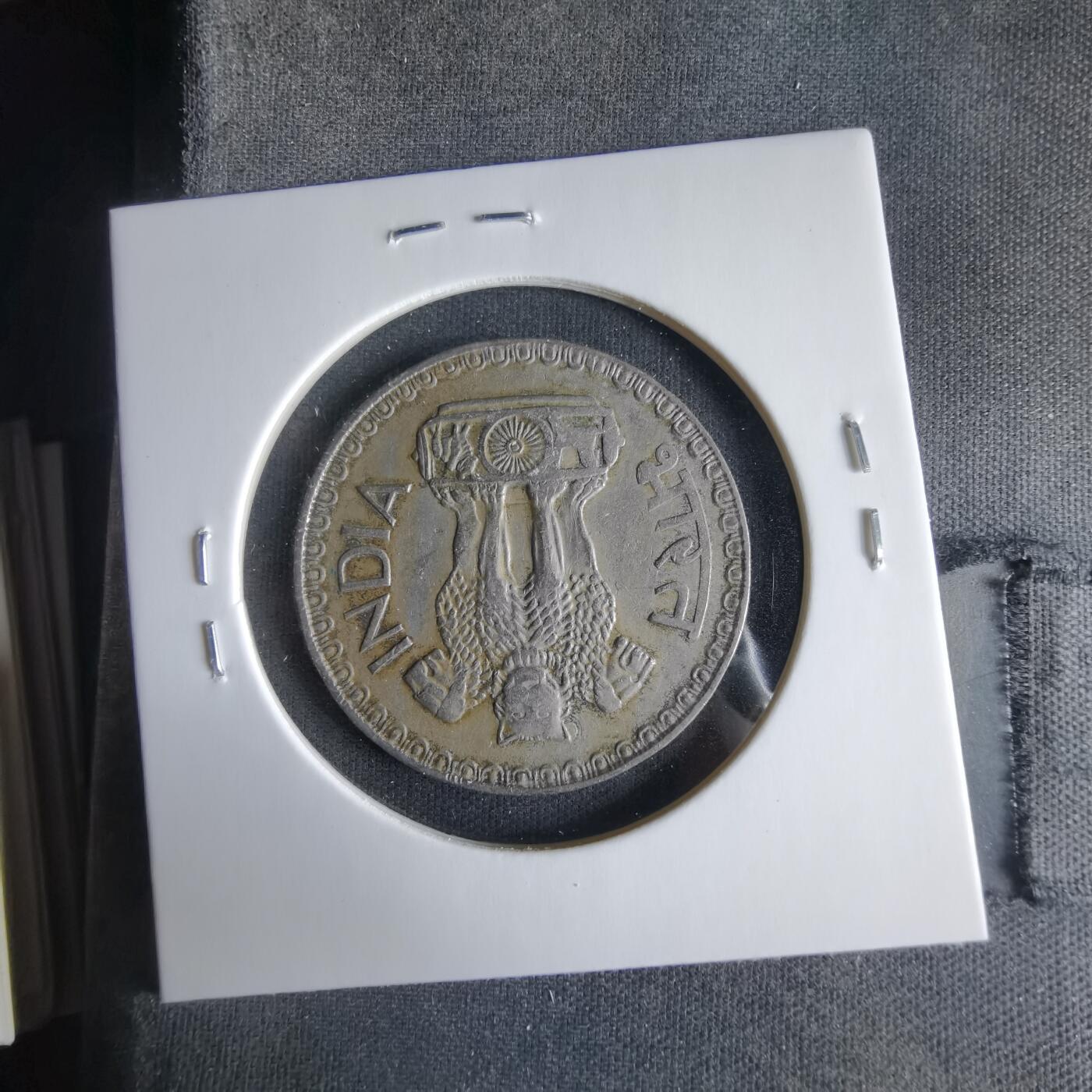 沼泽如烟--第1033场