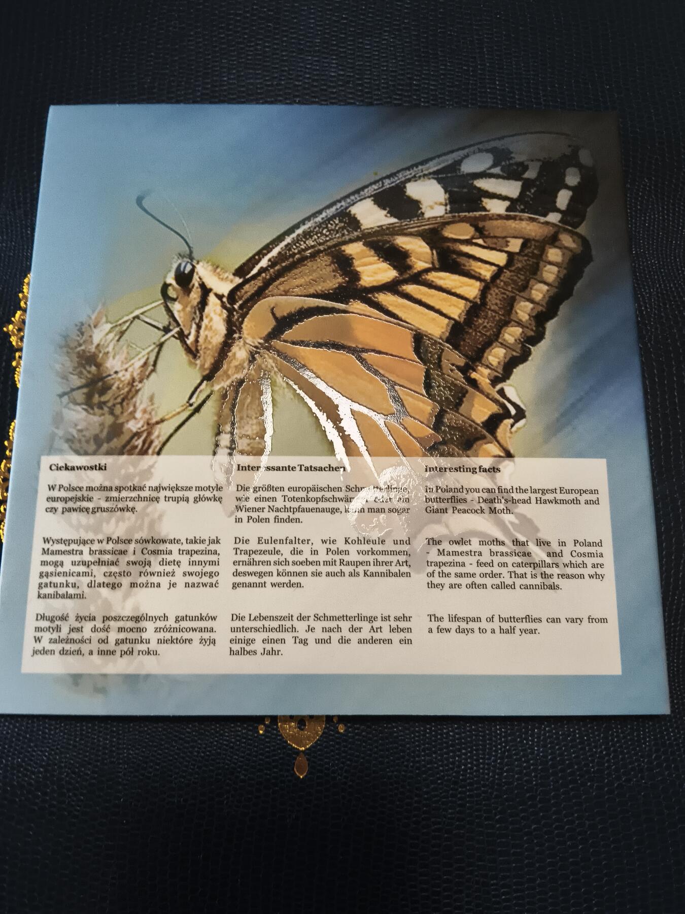 长老汇马年精选第十二场拍卖 2011波兰官方6枚硬币套装卡装，含1枚蓝蝴蝶金属章，稀少，ebay60美金