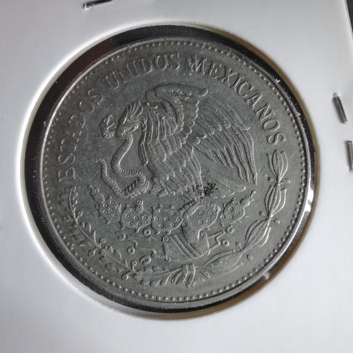 沼泽如烟--第1033场