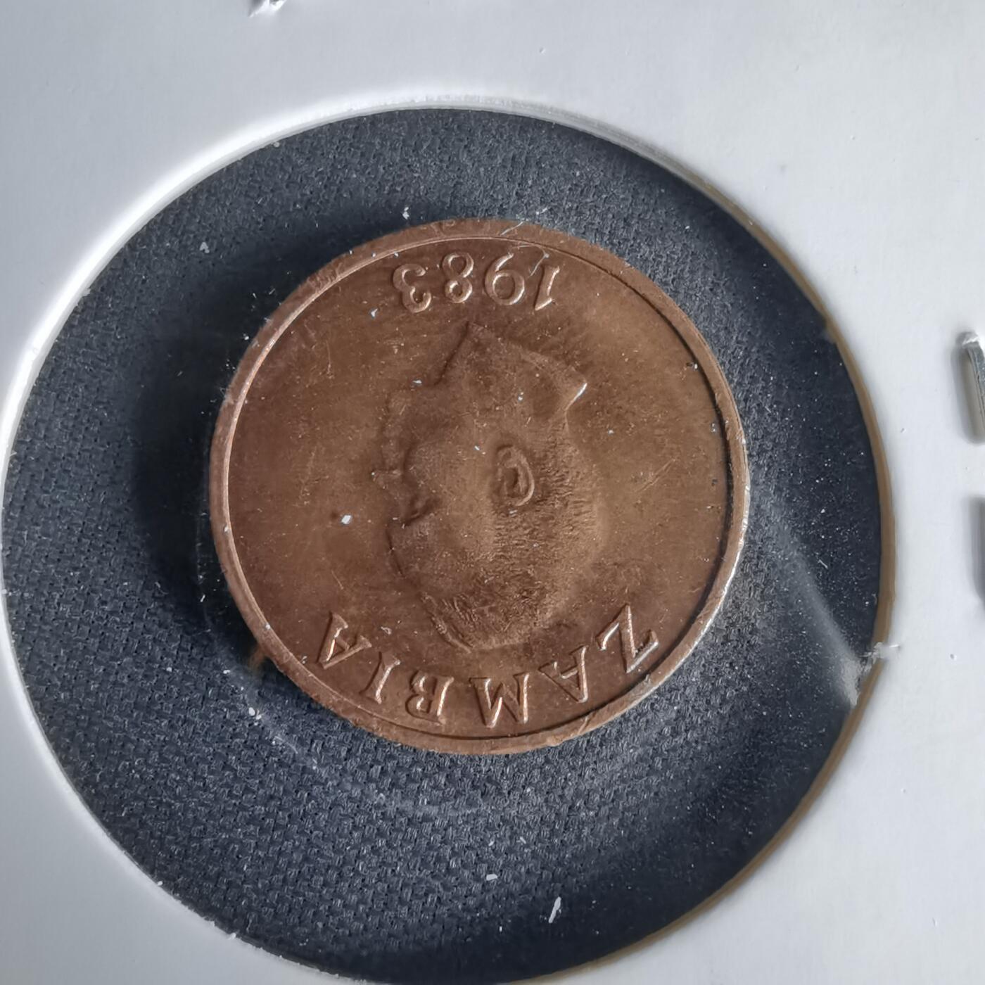 沼泽如烟--第1033场