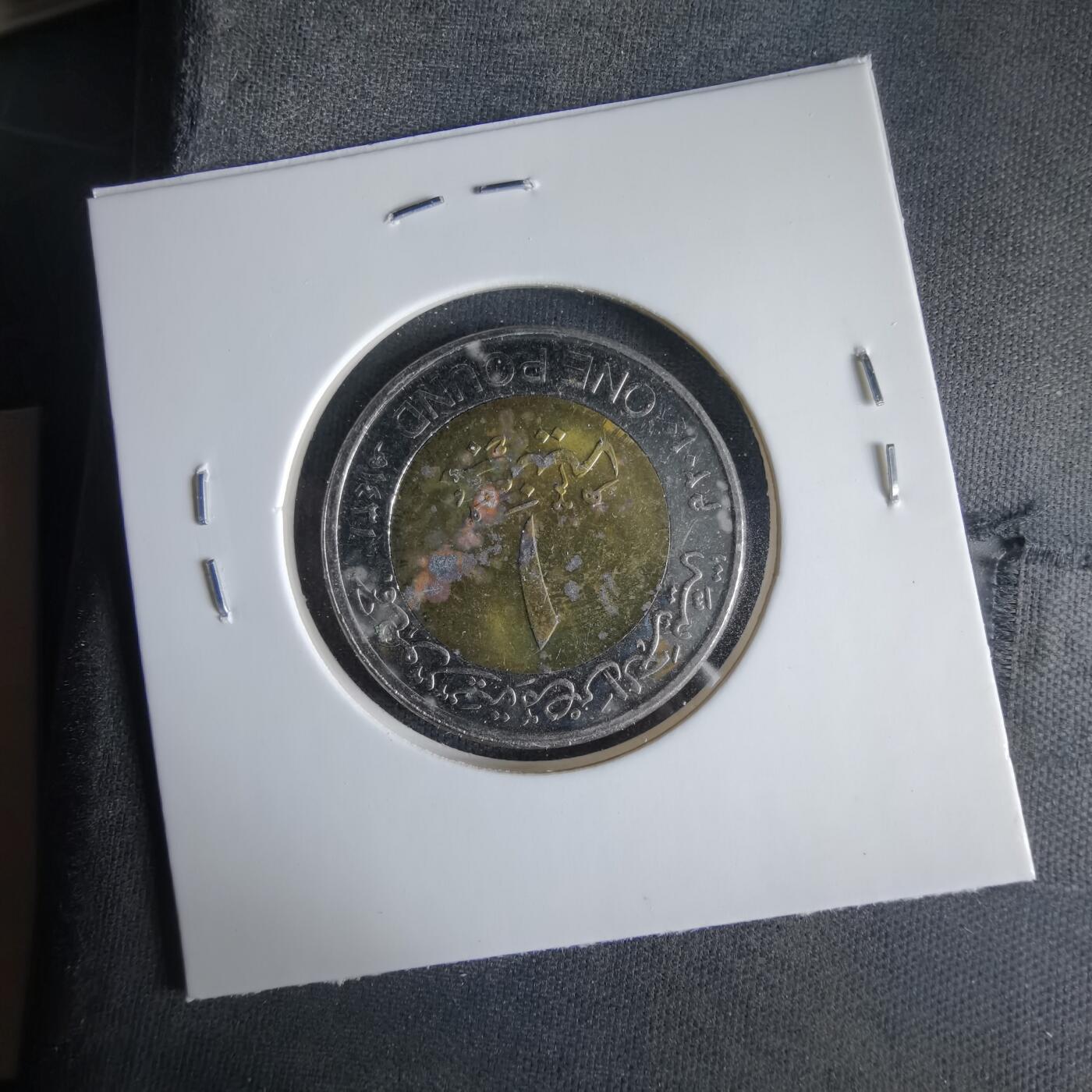 沼泽如烟--第1033场 埃及