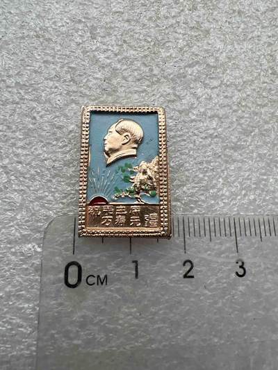 真品像章、纪念章 - 真品像章、纪念章