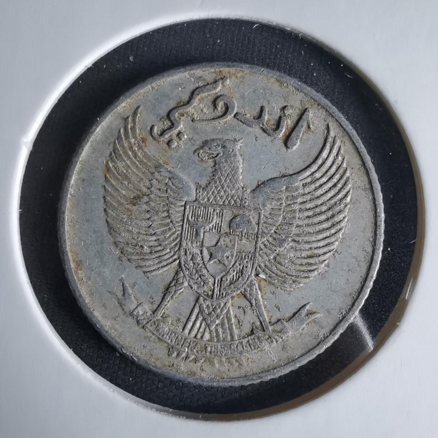 沼泽如烟--第1033场