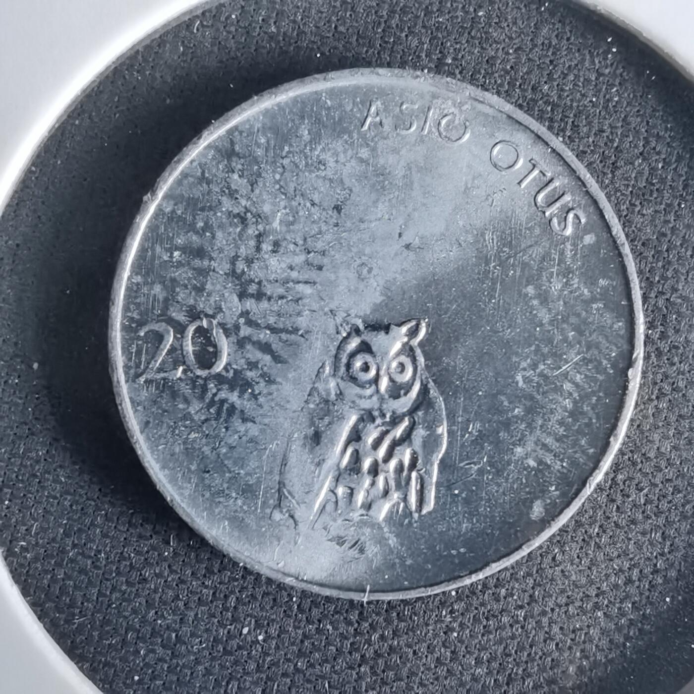 沼泽如烟--第1033场