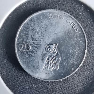 沼泽如烟--第1033场 - 斯洛文尼亚1993年20分