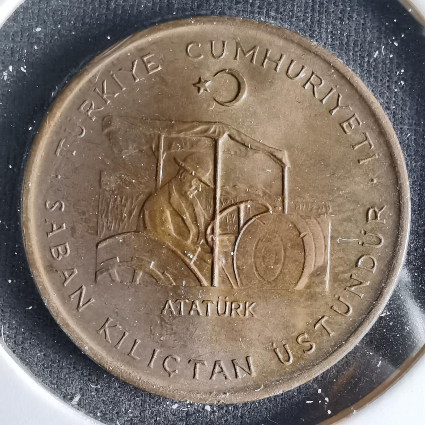 沼泽如烟--第1033场