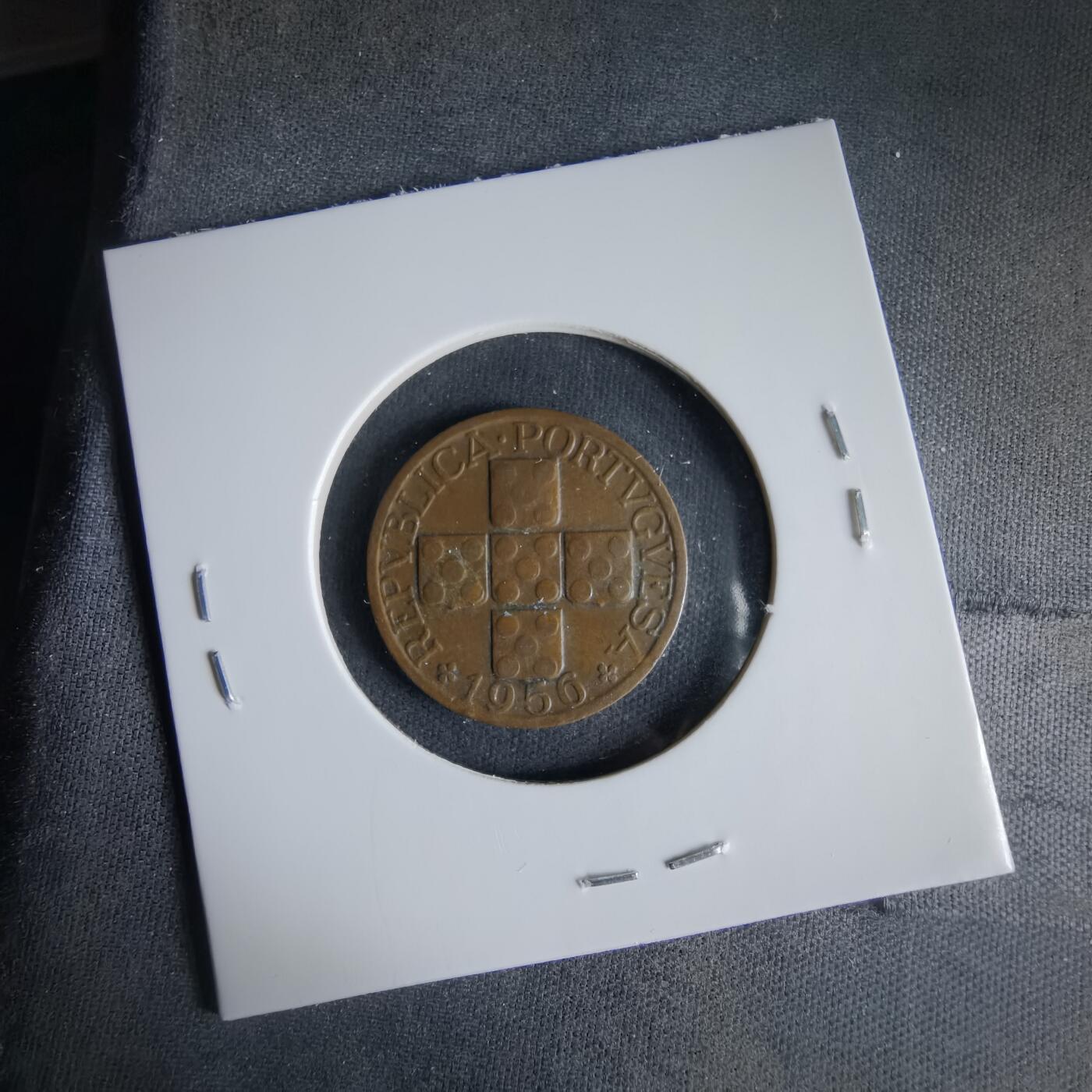 沼泽如烟--第1033场