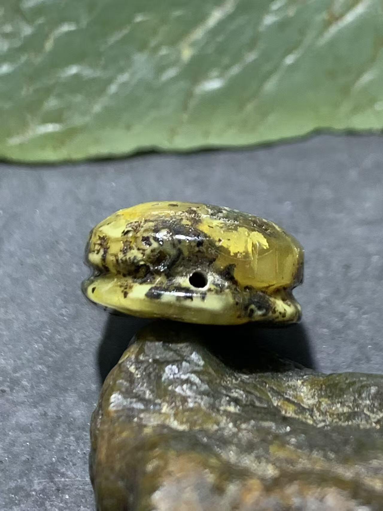 天然通货乌克兰蜜蜡雕刻龟壳寓意，富甲天下，一个，，