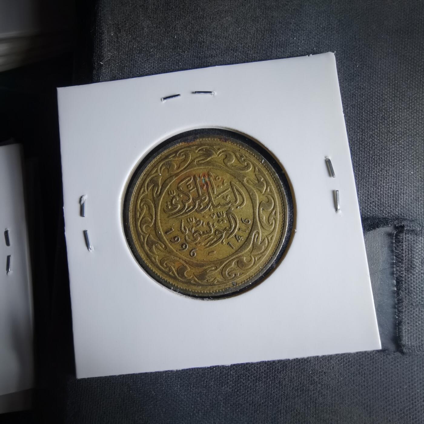 沼泽如烟--第1033场