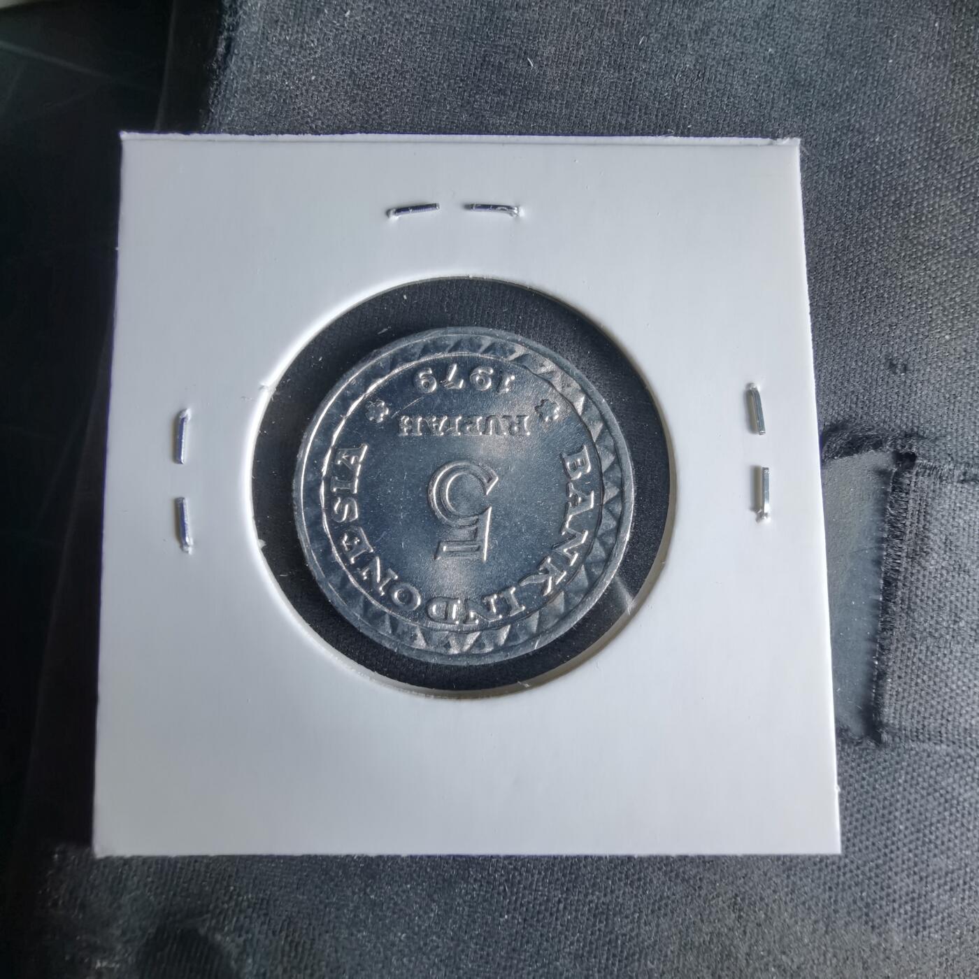 沼泽如烟--第1033场