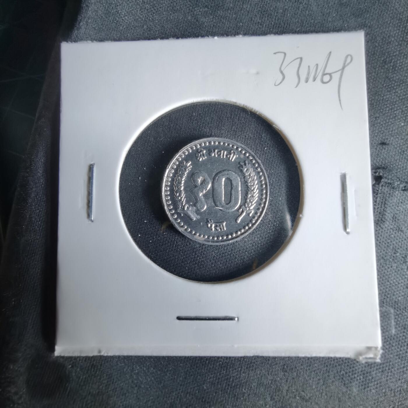 沼泽如烟--第1033场