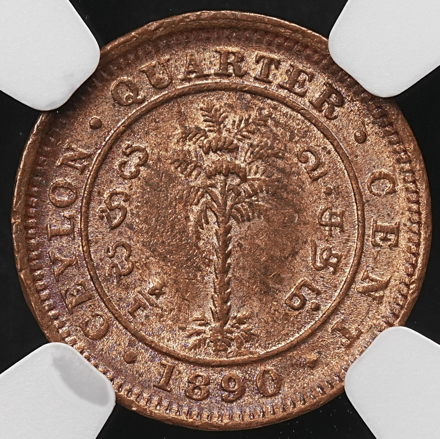 修遠堂世界钱币第109期 NGC MS63RB 1890年英属锡兰1/4分铜币