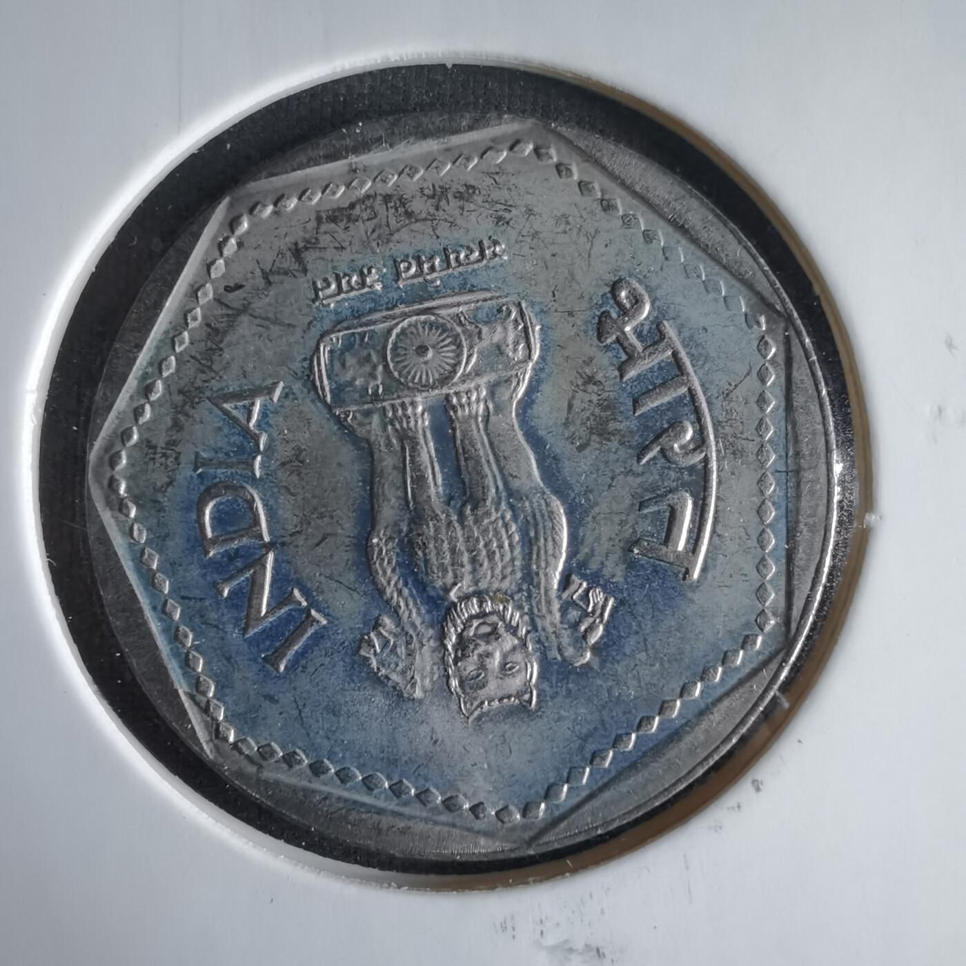 沼泽如烟--第1033场