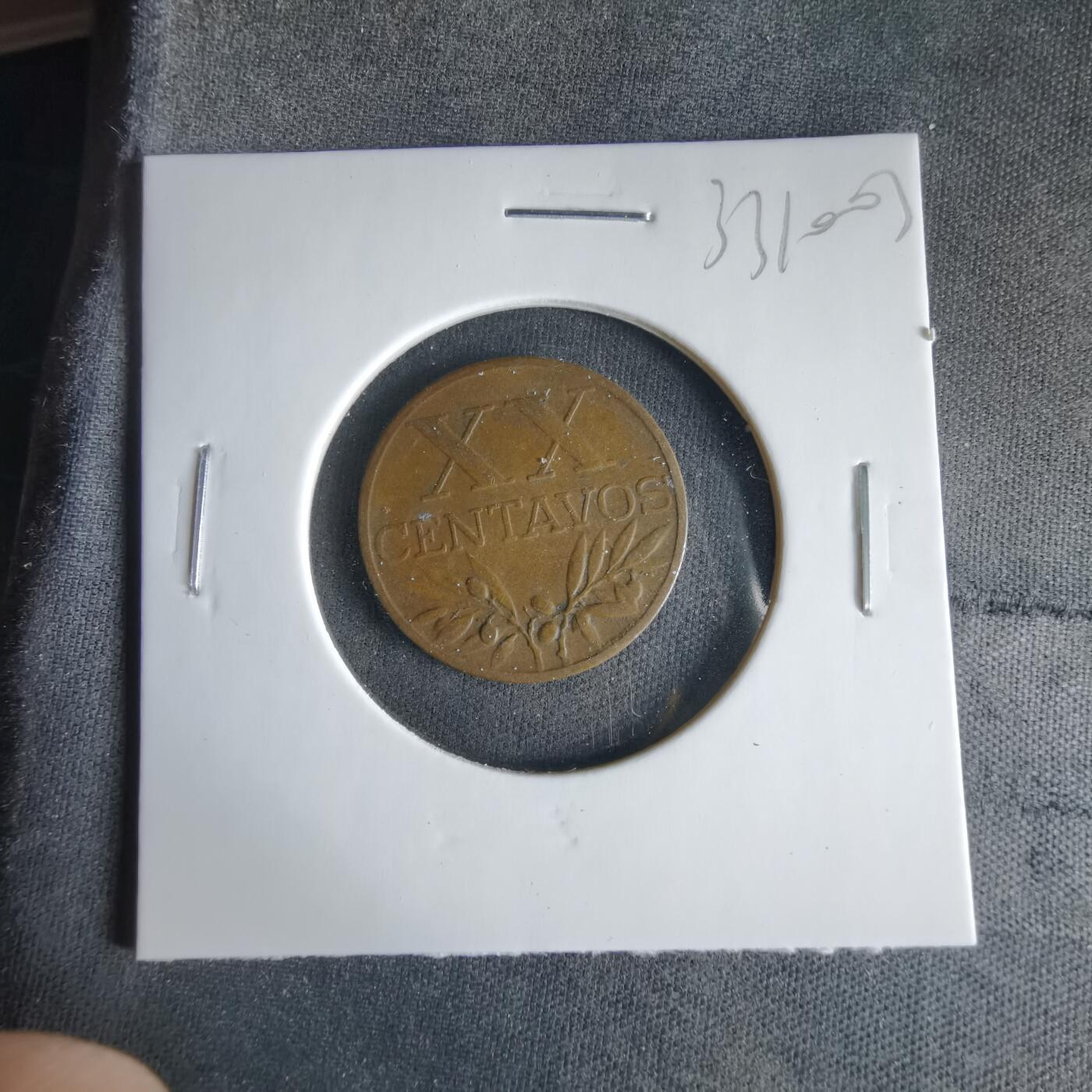 沼泽如烟--第1033场