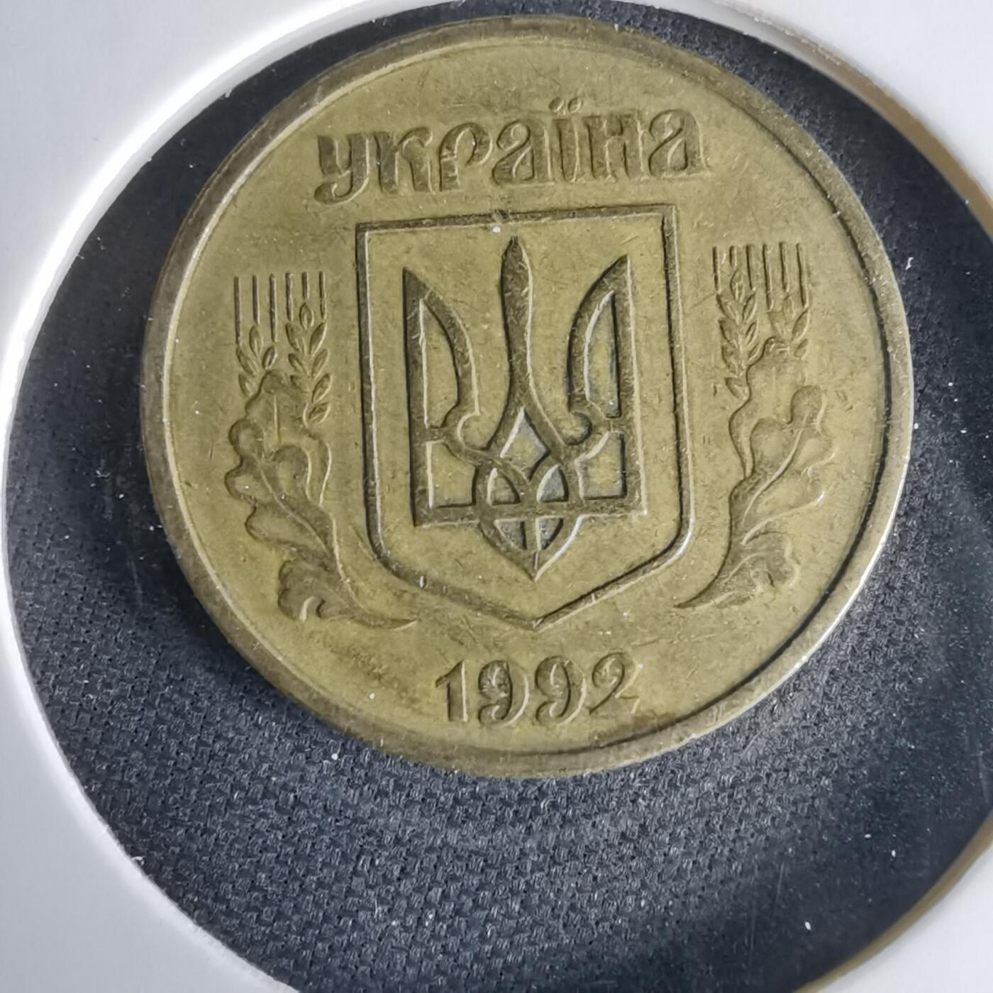 沼泽如烟--第1033场